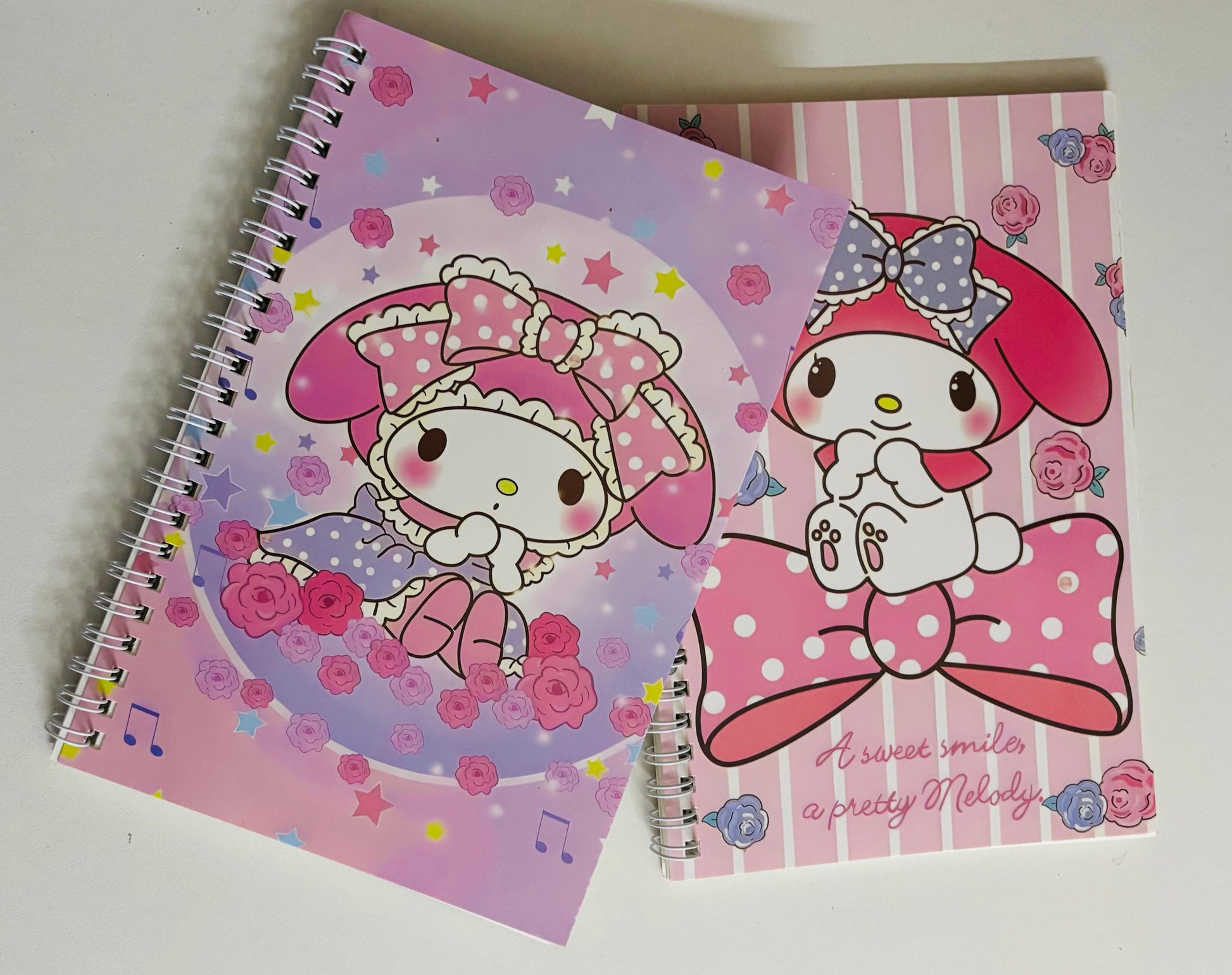 Two cartoon-themed notebooks with colorful designs on a white background