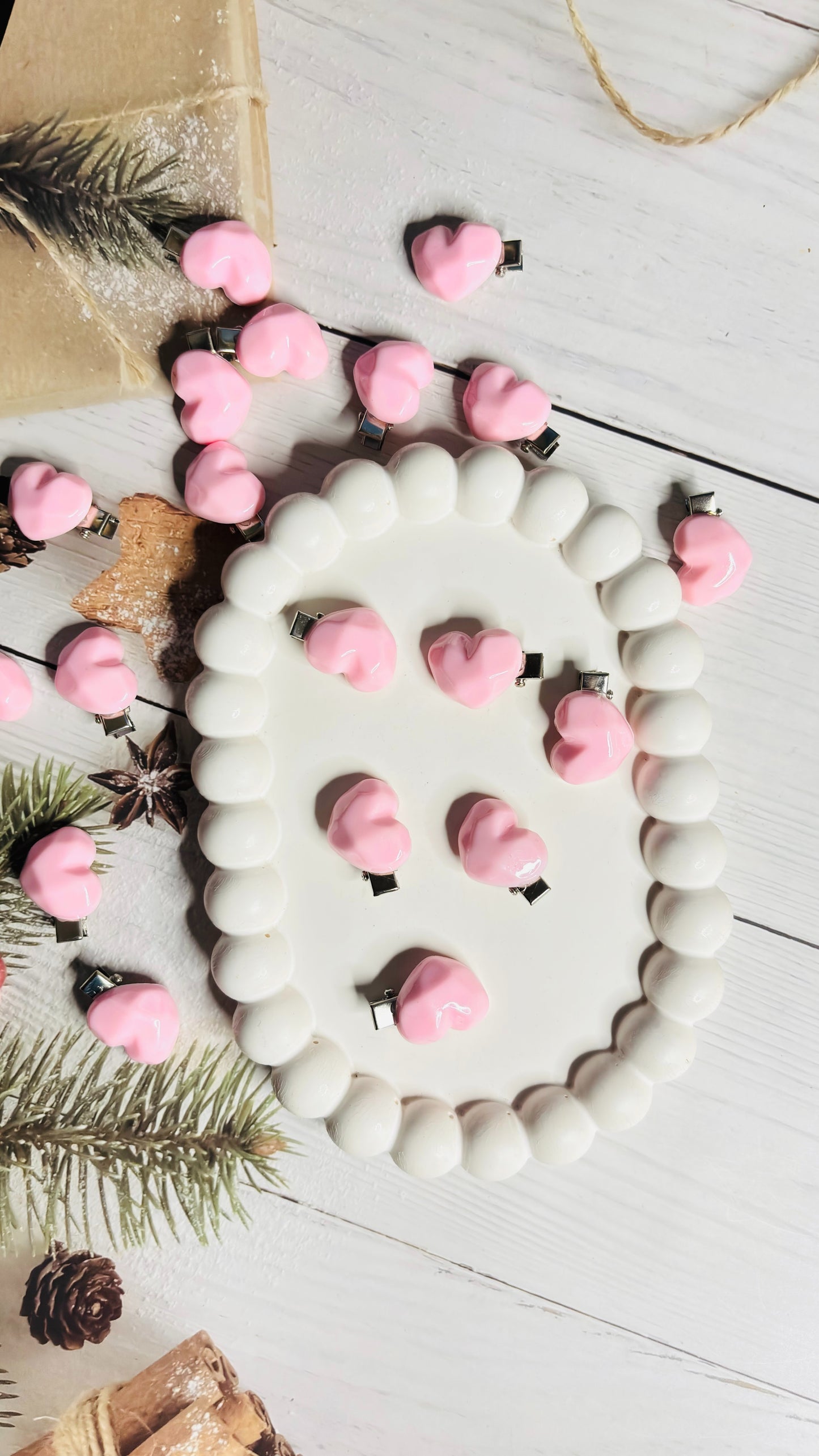 Pastel Resin Hair Clips – Set of 5